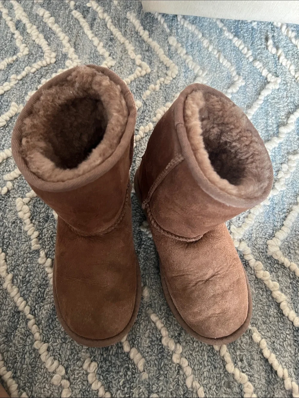 UGG plush sheepskin
